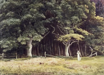 Die bewaldete Landschaft, ca. 1900